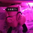 可爱的小狗狗 #狗奴 #女s调教 #尾巴 #肛塞 #男奴 #女王 #杭州女王 #杭州女s #sm #bdsm #调教 #字母圈