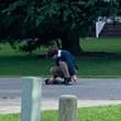 Me petting a street cat in the middle of the street