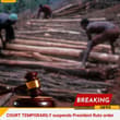 COURT TEMPORARILY suspends President Ruto order lifting logging ban; plan to re…