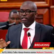 RUTO, RAILA Talks: Kenya Kwanza names Muthomi Thiankolu, Linda Musumba, Nick Bi…