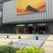 成都的时尚度超过上海，上海只是多了些奢侈感，但和普通百姓距离远了点