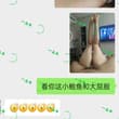 瘦腰大屁股的女人，做爱更有感觉