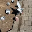 japan pigeon