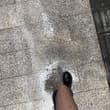 波点确实好看，但我也确实密恐