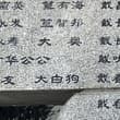 靖国有幸埋忠骨 白狗无辜充人名儿