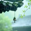 #清明节 清明雨落，思念成疾。