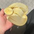 下班了路边买两根香蕉急头巴脑的赶到健身房吃一根游泳去了