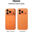 Honor has no honor