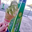 伊東で食べたおやつ達😋🫶🏻 大室山のよもぎ団子&amp;緑茶ソフト。 伊豆シャボテン動物公園のピンクのソフト。道の駅マリンタウンの緑茶ソフト。