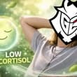 Going into day 2 of EWC Qualifiers undefeated 😌