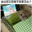 感觉老天一直在捉弄我😭😭😭