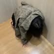 才喝多少啊就醉成这样 没办法了只能带去我家里面休息一下