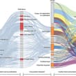 Insect pollinator species are responsible for more than 40% of household income…
