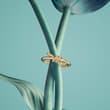 Where the truest love begins. This Mother’s Day, Knot by Tiffany honors the bea…