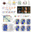 A study in Nature reveals that tumour microenvironments can be decomposed into…