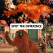 Snuffy’s finned twin was discovered! Mr. Snuffleupagus is honored to have this…