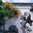 园林美学看中国 #中式美学