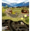 A paper in Nature Communications reports on squirrel droppings preserved in Can…