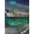 A vast whale graveyard found on the bed of the Indian Ocean may represent the d…