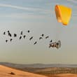 Gunnar Hartmann is the overall winner of Nature’s 2026 Scientist at Work photog…