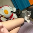 晚上小猫陪我看球