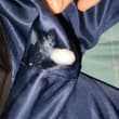 射穿校裤の集锦，没有内网的校裤，精液喷涌而出。