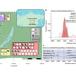 A paper in Nature describes plague outbreaks dating back to around 5,500 years…