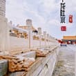 大美中国 · 故宫风骨 #ChineseArchitecture #ForbiddenCity