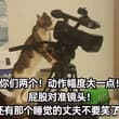被爱抚到发情主动求爱才是最色情的啊……