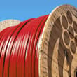Семья Ричардс, владельцы электротехнической компании Southwire с капиталом $13…