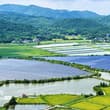 Glistening atop the water at a solar-fishery farm, blue photovoltaic panels soa…