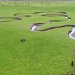 China, home to the world's largest grassland area, has stepped up efforts to pr…