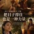 “在速朽的时代，柔软的事物往往最能承重” #给阿嬷的情书
