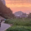 오늘은 선선하니 뛰기 좋은 날씨 입니다.. #슬로우조깅 #함께뛰어요