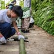 In the summer vacation, a surging number of students from cities like Shanghai…