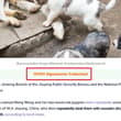 【揭阳虐狗事件】 中国迟迟不立法，中国网友为旺旺向海外组织寻求声援