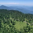Known for its distinctive table-mountain landform, Wawu Mountain features a sum…