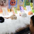 China’s trendy toy market is entering a new phase of growth, driven by AI, orig…