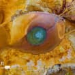 【青海茫崖：“大地之眼”蔚為壯觀】艾肯泉位於青海海西蒙古族藏族自治州茫崖市，直徑十多米的泉眼終年翻湧如沸水。因富含硫黃等礦物質，長期沉澱形成紅褐色、金黃色等斑…