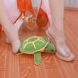 #少司缘 #涂山红红 可怜的龟龟被姐姐玩弄于脚上