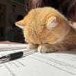 "i dont wanna study"