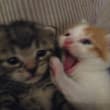 Moments before disaster: