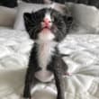 Smol!