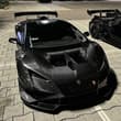 carbon fiber >>>