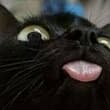 👁👅👁