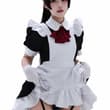 （…）