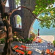 古院、碧海、暖阳，皆是心安 Ancient yards, blue sea and warm sun bring peace to heart #云南大理
