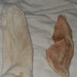 Old school socks. 1 in used as a #cumsock and seen at least 7 different cocks.…