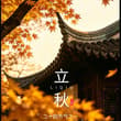 秋已至，柿满枝，愿日子温暖顺遂🍁 Autumn comes with ripe persimmons, may life be warm. #立秋 #二十四节气