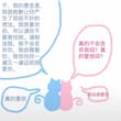 真的不会抛弃你